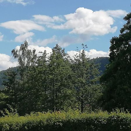 Toepferblick Lägenhet Olbersdorf Exteriör bild
