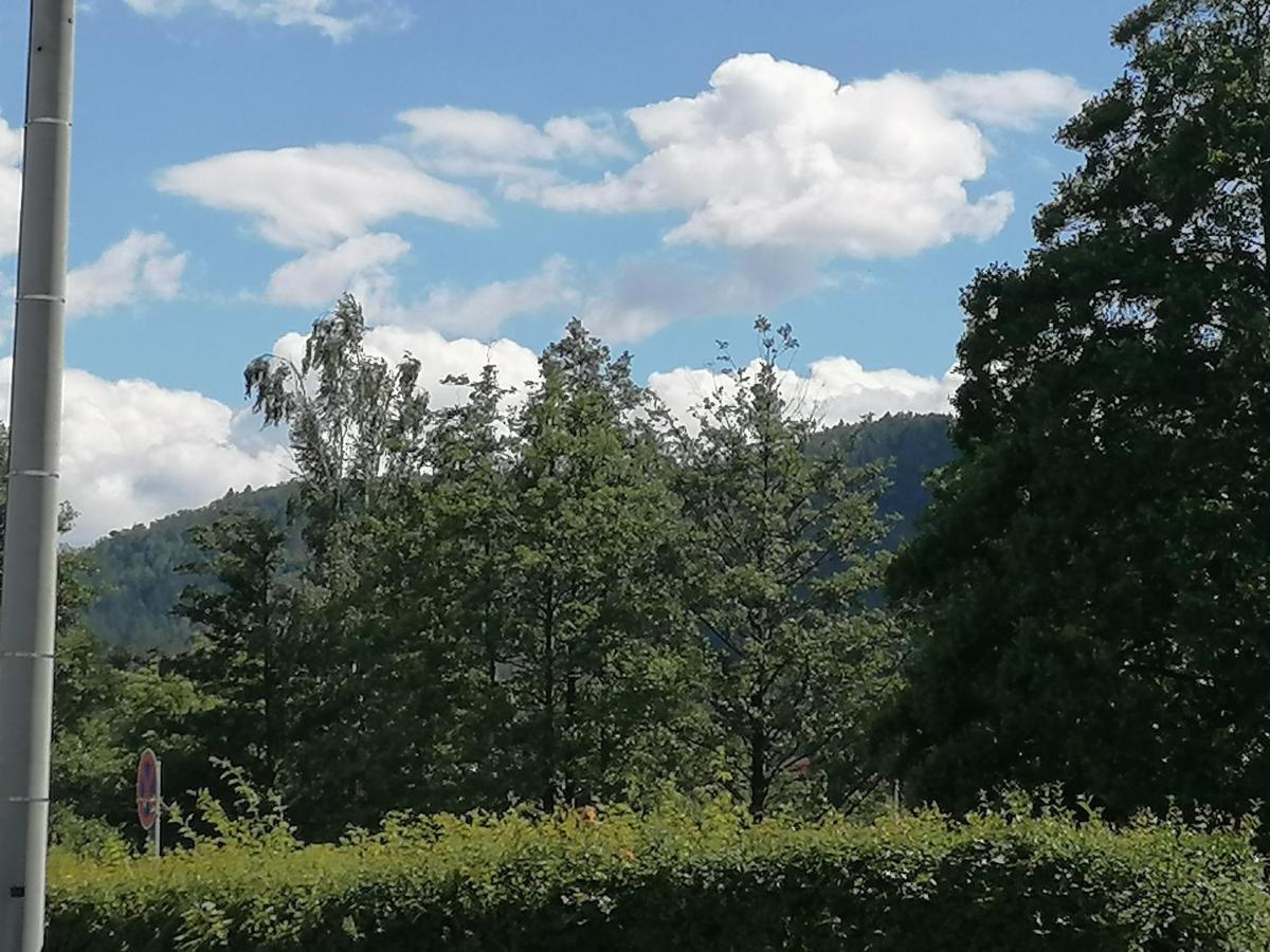 Toepferblick Lägenhet Olbersdorf Exteriör bild